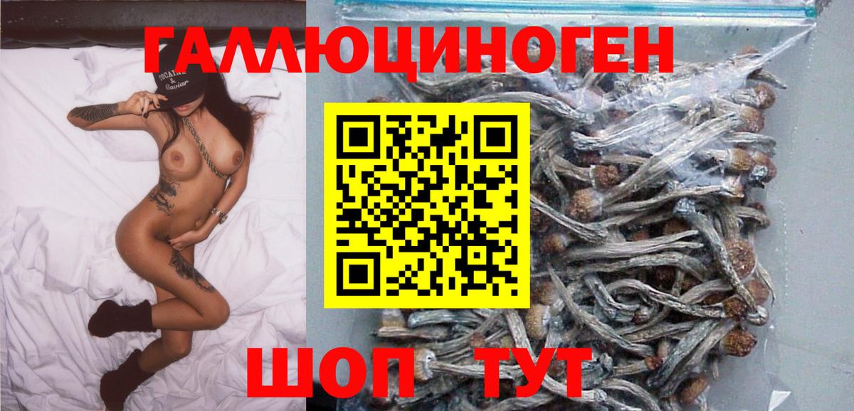 Галлюциногенные грибы MAGIC MUSHROOMS Березники