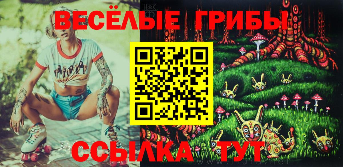 Березники  Галлюциногенные грибы Psilocybine cubensis  Вход с VPN 